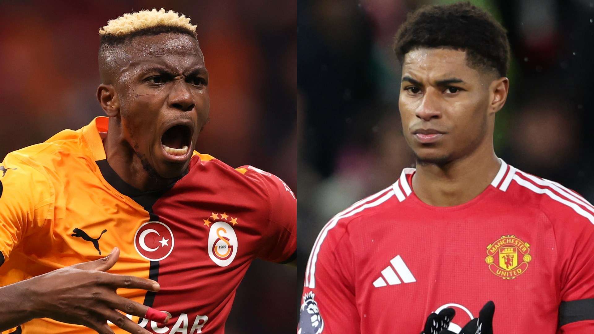 他的鬥志和 他的鬥志和