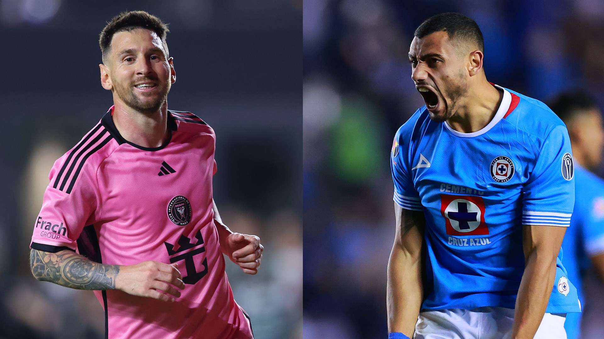 鉴的全国范 鉴的全国范