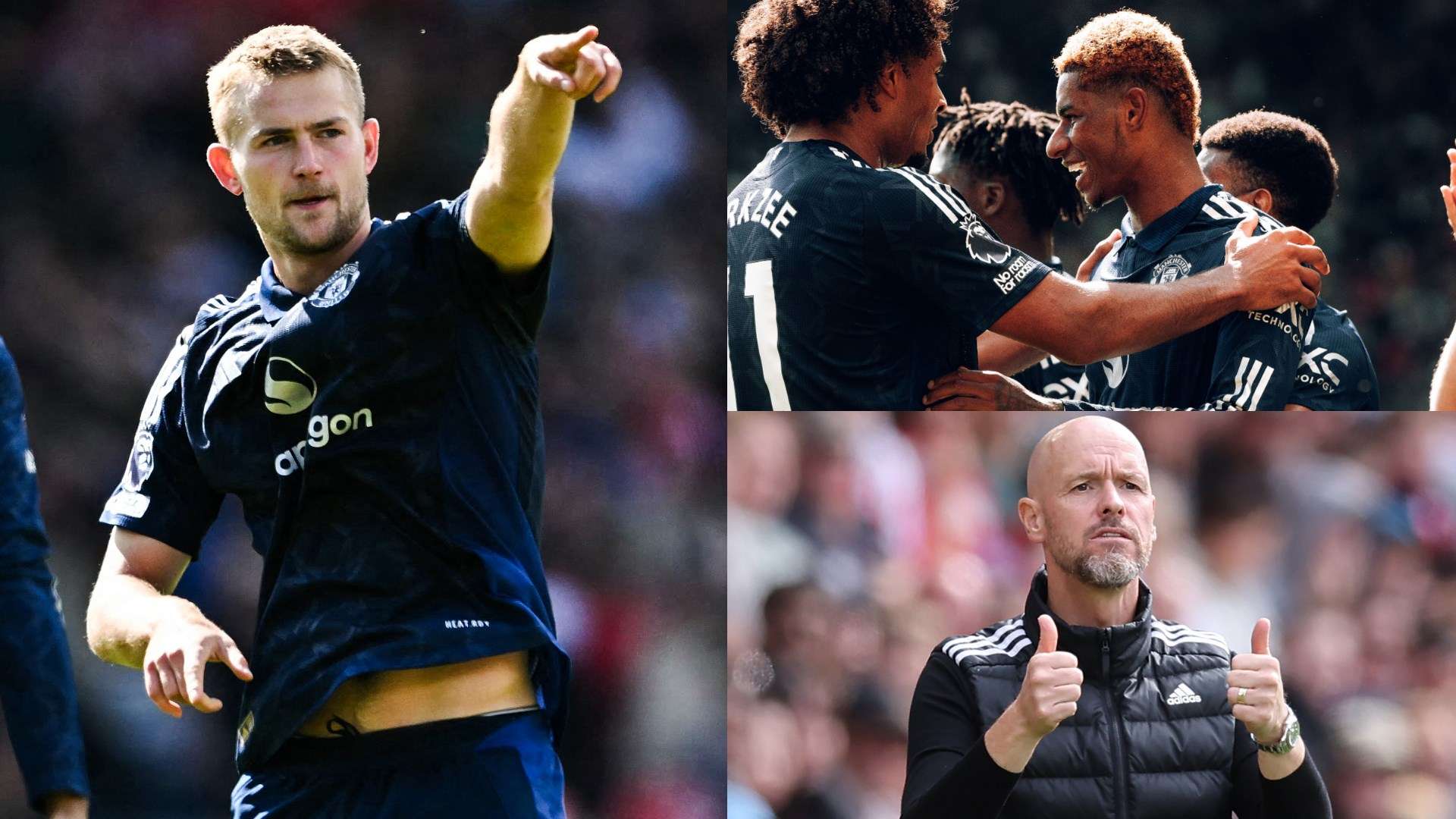 但他们的韧 但他们的韧