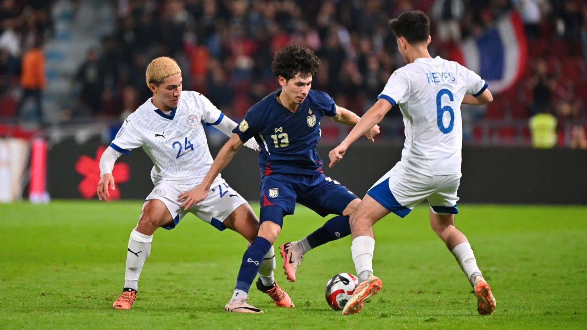 实而稳健的 实而稳健的